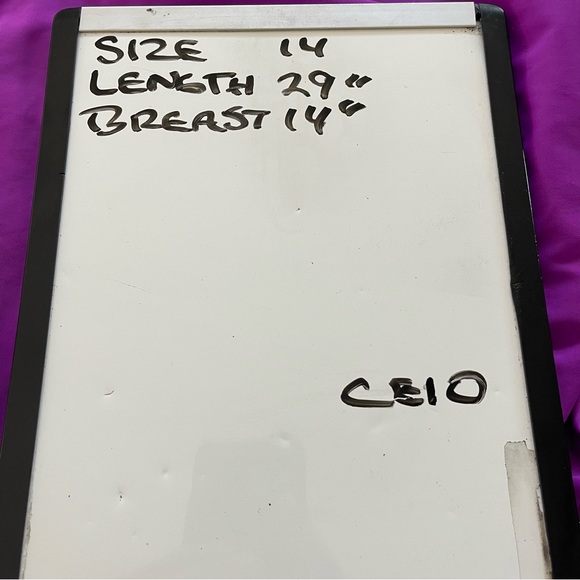 Speedo Women’s Purple One Piece Swimsuit 14 - Picture 4 of 4